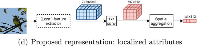 Figure 1 for Simple and effective localized attribute representations for zero-shot learning