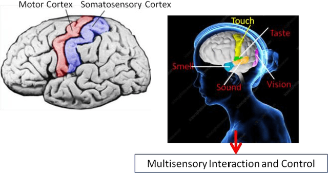 Figure 1 for Information And Control: Insights from within the brain