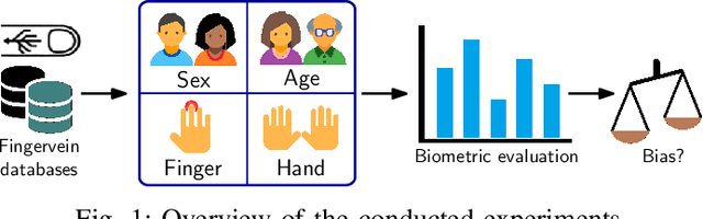 Figure 1 for Demographic Bias: A Challenge for Fingervein Recognition Systems?