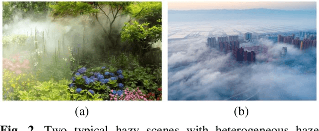 Figure 3 for Fully Non-Homogeneous Atmospheric Scattering Modeling with Convolutional Neural Networks for Single Image Dehazing