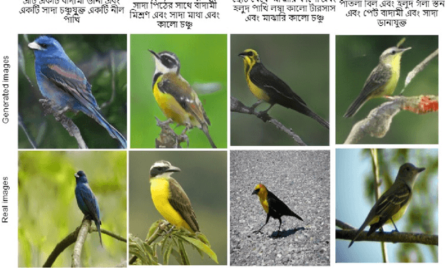Figure 3 for Fine-Grained Image Generation from Bangla Text Description using Attentional Generative Adversarial Network