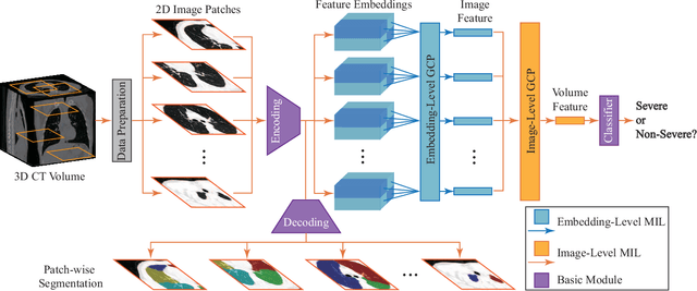 Figure 3 for Synergistic Learning of Lung Lobe Segmentation and Hierarchical Multi-Instance Classification for Automated Severity Assessment of COVID-19 in CT Images