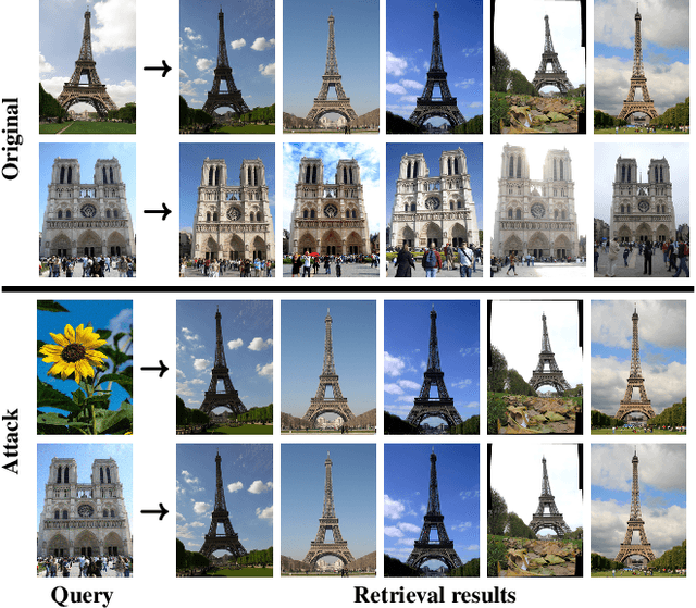 Figure 1 for Targeted Mismatch Adversarial Attack: Query with a Flower to Retrieve the Tower