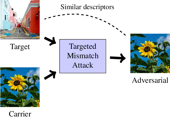 Figure 3 for Targeted Mismatch Adversarial Attack: Query with a Flower to Retrieve the Tower