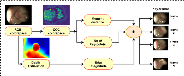 Figure 1 for Extraction of Key-frames of Endoscopic Videos by using Depth Information
