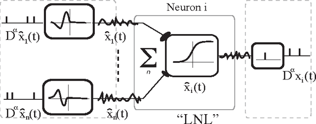 Figure 1 for Fractionally Predictive Spiking Neurons