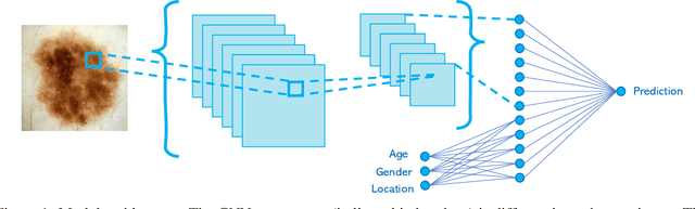 Figure 1 for Deep Transfer Learning for Automated Diagnosis of Skin Lesions from Photographs