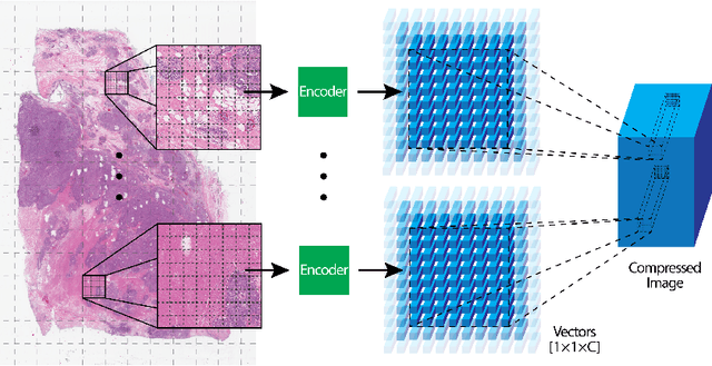 Figure 1 for Extending Unsupervised Neural Image Compression With Supervised Multitask Learning