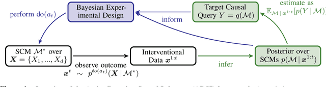 Figure 1 for Active Bayesian Causal Inference