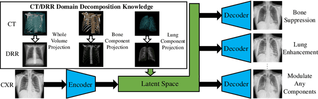 Figure 1 for Encoding CT Anatomy Knowledge for Unpaired Chest X-ray Image Decomposition