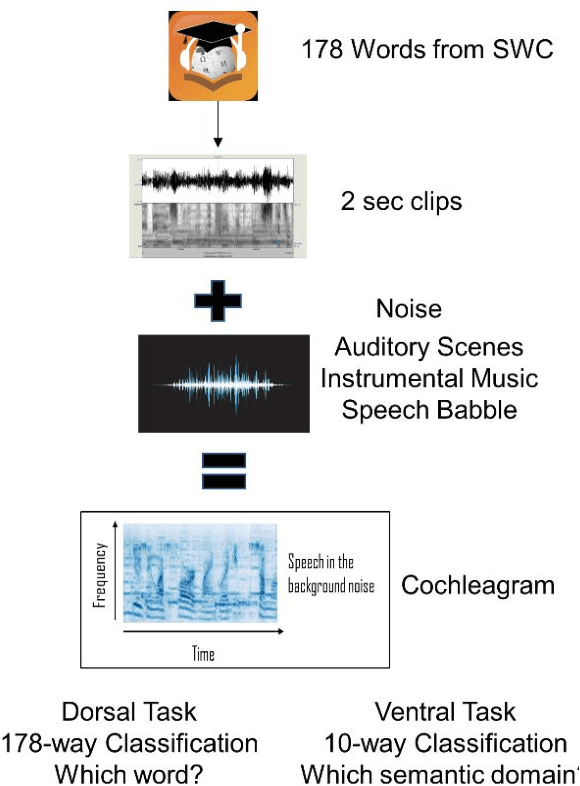 Figure 1 for A Tale of Two Lexica Testing Computational Hypotheses with Deep Convolutional Neural Networks