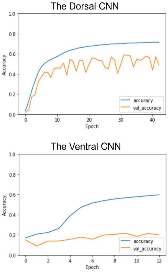 Figure 2 for A Tale of Two Lexica Testing Computational Hypotheses with Deep Convolutional Neural Networks