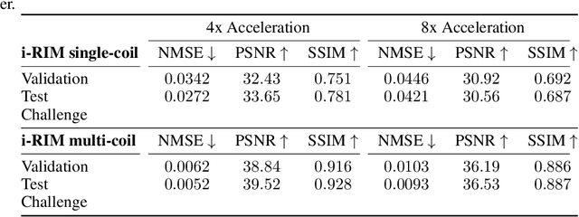 Figure 2 for i-RIM applied to the fastMRI challenge