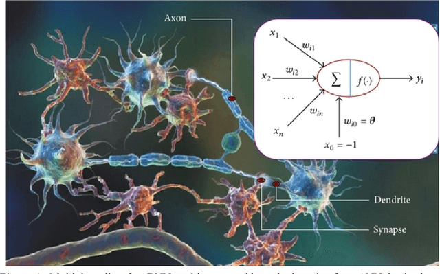 Figure 1 for Connectionism, Complexity, and Living Systems: a comparison of Artificial and Biological Neural Networks