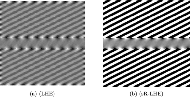 Figure 4 for A cortical-inspired sub-Riemannian model for Poggendorff-type visual illusions