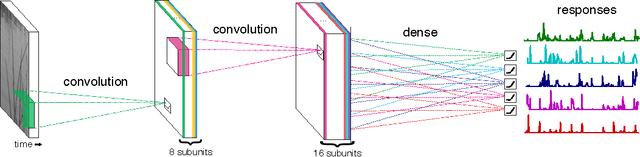 Figure 1 for Deep Learning Models of the Retinal Response to Natural Scenes