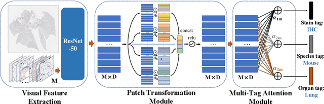 Figure 1 for Patch Transformer for Multi-tagging Whole Slide Histopathology Images