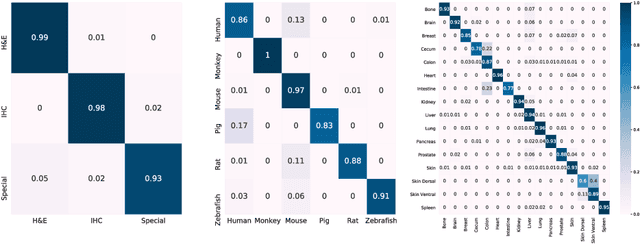 Figure 3 for Patch Transformer for Multi-tagging Whole Slide Histopathology Images