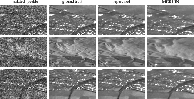Figure 3 for As if by magic: self-supervised training of deep despeckling networks with MERLIN