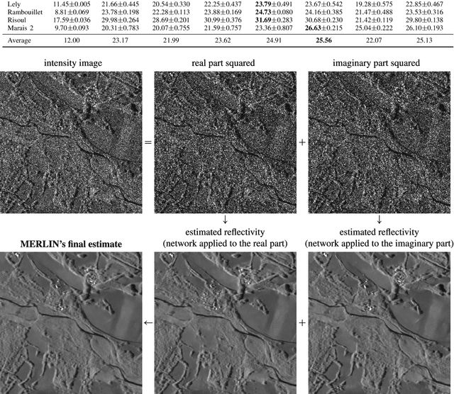 Figure 4 for As if by magic: self-supervised training of deep despeckling networks with MERLIN