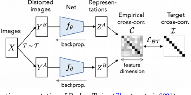 Figure 1 for BT-Unet: A self-supervised learning framework for biomedical image segmentation using Barlow Twins with U-Net models