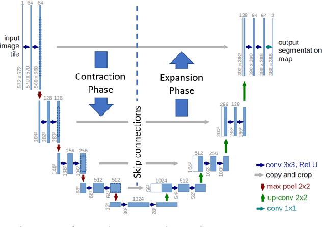 Figure 3 for BT-Unet: A self-supervised learning framework for biomedical image segmentation using Barlow Twins with U-Net models