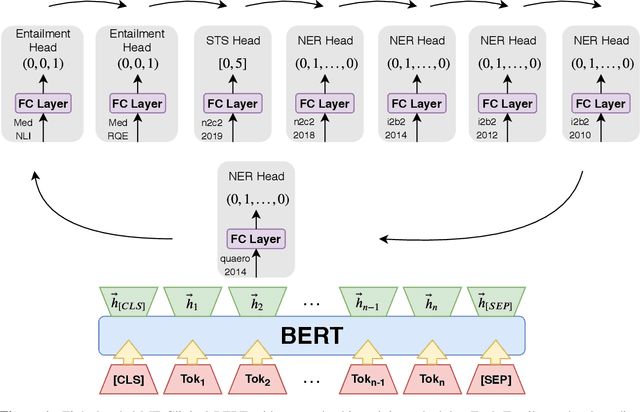 Figure 1 for MT-Clinical BERT: Scaling Clinical Information Extraction with Multitask Learning