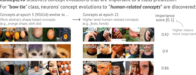 Figure 2 for ConceptEvo: Interpreting Concept Evolution in Deep Learning Training