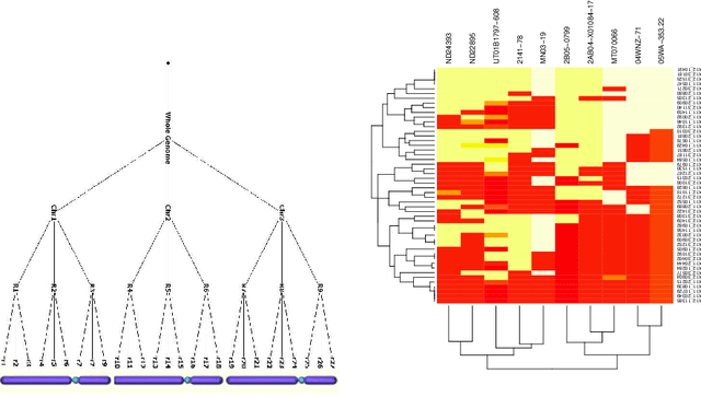 Figure 1 for Locally epistatic genomic relationship matrices for genomic association, prediction and selection