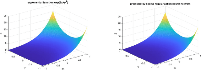 Figure 3 for Sparse Deep Neural Network for Nonlinear Partial Differential Equations