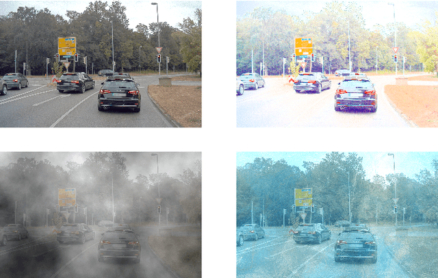 Figure 4 for Plants Don't Walk on the Street: Common-Sense Reasoning for Reliable Semantic Segmentation