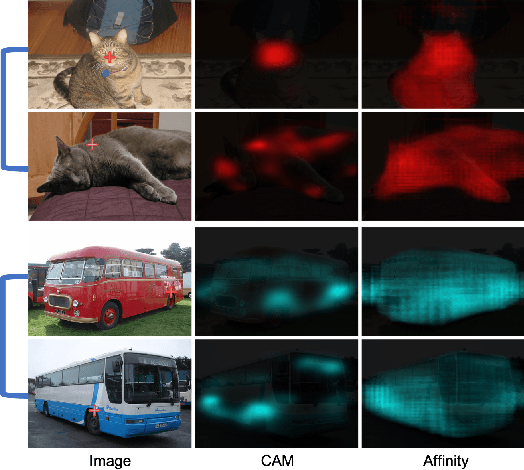 Figure 1 for CIAN: Cross-Image Affinity Net for Weakly Supervised Semantic Segmentation