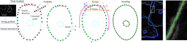Figure 1 for Automatic label correction based on CCESD