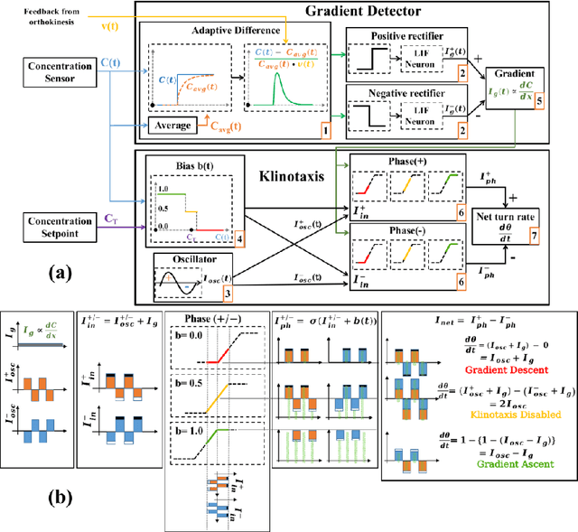 Figure 3 for Adaptive Chemotaxis for improved Contour Tracking using Spiking Neural Networks