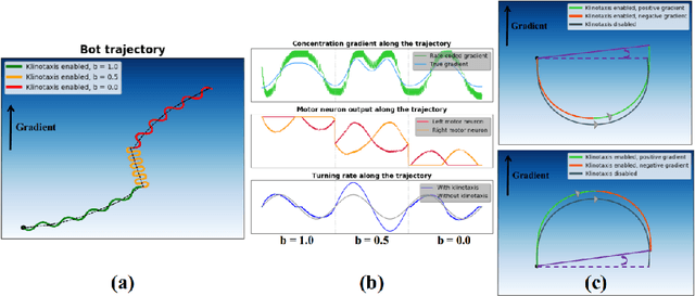 Figure 4 for Adaptive Chemotaxis for improved Contour Tracking using Spiking Neural Networks