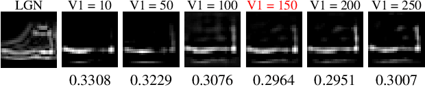 Figure 4 for Efficient visual object representation using a biologically plausible spike-latency code and winner-take-all inhibition