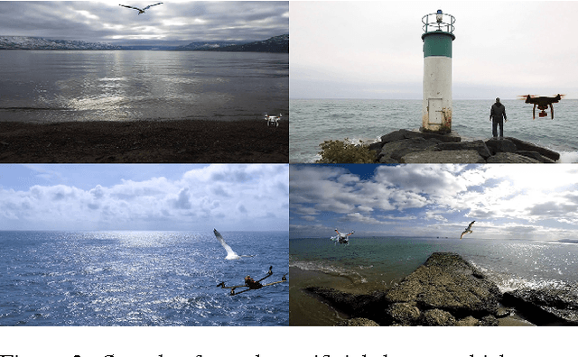 Figure 4 for Using Deep Networks for Drone Detection