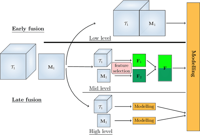 Figure 1 for Early soft and flexible fusion of EEG and fMRI via tensor decompositions