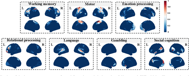 Figure 3 for Explainable fMRI-based Brain Decoding via Spatial Temporal-pyramid Graph Convolutional Network