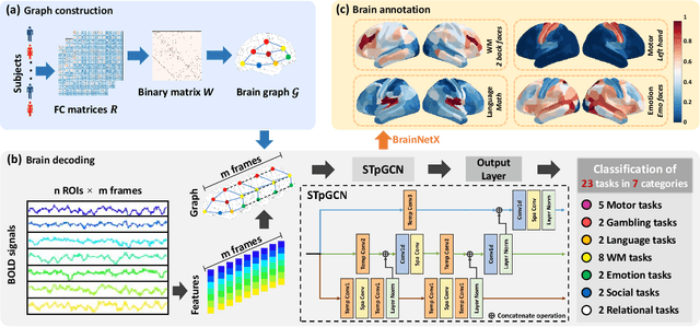 Figure 1 for Explainable fMRI-based Brain Decoding via Spatial Temporal-pyramid Graph Convolutional Network