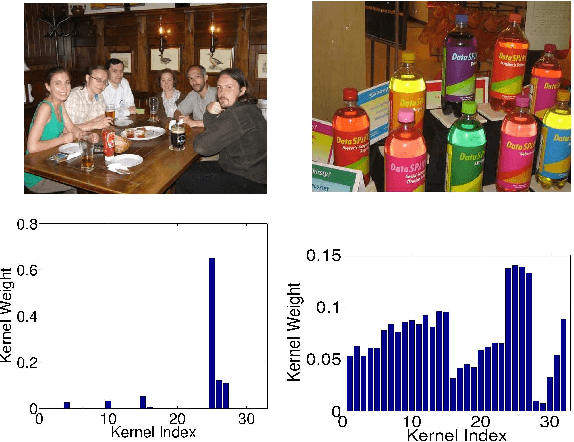 Figure 4 for Insights from Classifying Visual Concepts with Multiple Kernel Learning