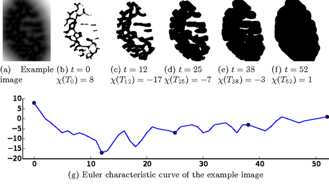 Figure 1 for Streaming Algorithm for Euler Characteristic Curves of Multidimensional Images