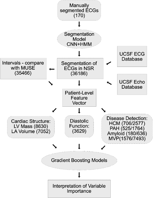 Figure 1 for Automated and Interpretable Patient ECG Profiles for Disease Detection, Tracking, and Discovery