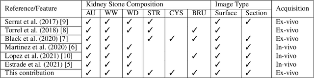 Figure 1 for Comparing feature fusion strategies for Deep Learning-based kidney stone identification