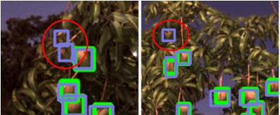 Figure 4 for Monocular Camera Based Fruit Counting and Mapping with Semantic Data Association