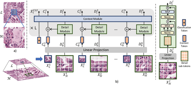 Figure 1 for CD-Net: Histopathology Representation Learning using Pyramidal Context-Detail Network