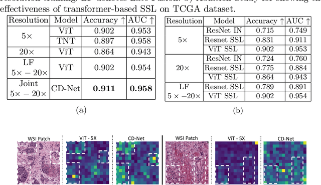 Figure 2 for CD-Net: Histopathology Representation Learning using Pyramidal Context-Detail Network