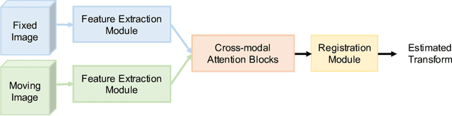 Figure 1 for Cross-modal Attention for MRI and Ultrasound Volume Registration