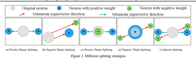 Figure 1 for Steepest Descent Neural Architecture Optimization: Escaping Local Optimum with Signed Neural Splitting