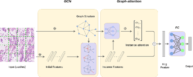 Figure 1 for Multi-Instance Learning by Utilizing Structural Relationship among Instances